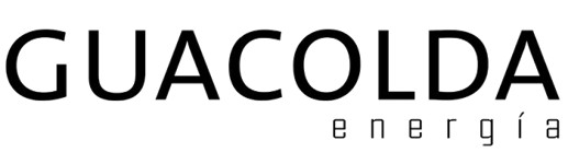 logo guacolda